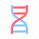dna, biology, science, structure, genetic