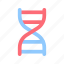 dna, biology, science, structure, genetic 
