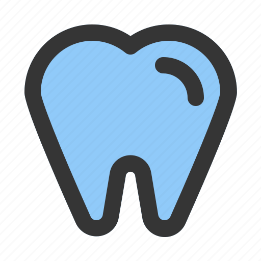 Tooth, teeth, dentist, dental, premolar icon - Download on Iconfinder