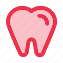 tooth, teeth, dentist, dental, premolar