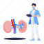 urologist, urological, surgeon, kidney, doctor, physician, renal 