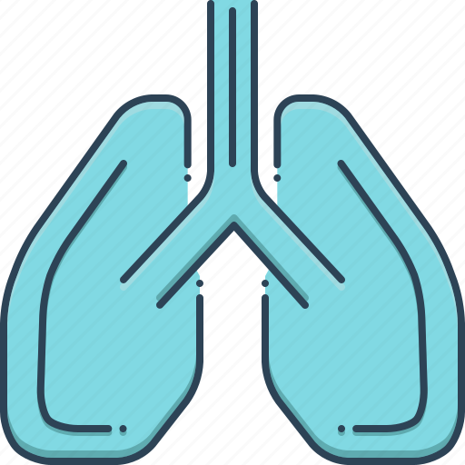 Lungs, pulmonary, pulmonology, transplantation, treatment icon - Download on Iconfinder