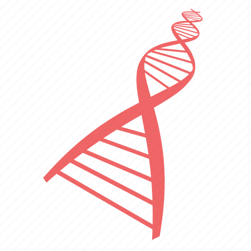 Healthy, medical, dna, health icon - Download on Iconfinder