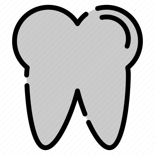 Anatomy, dental, medical, tooth icon - Download on Iconfinder