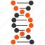 dna, genetics, helix, genetic, genetic engineering, genom, spiral 