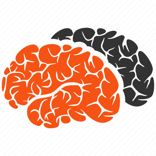 Brains, brain, intellect, brainstorming, memory, mind, neuro icon - Download on Iconfinder