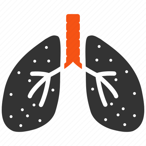 Lungs, anatomy, organ, body, lung, smoking, breath system icon - Download on Iconfinder