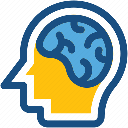 Brain anatomy, creative mind, human brain, human head, thinking icon - Download on Iconfinder