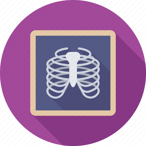 Medical, radiology, radioscopy, ribs, xray icon - Download on Iconfinder