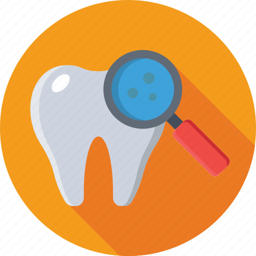 Dental checkup, dentistry, magnifier, molar, tooth icon - Download on Iconfinder