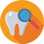 dental checkup, dentistry, magnifier, molar, tooth 