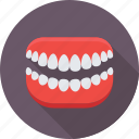 dental, jaw, mouth, stomatology, teeth