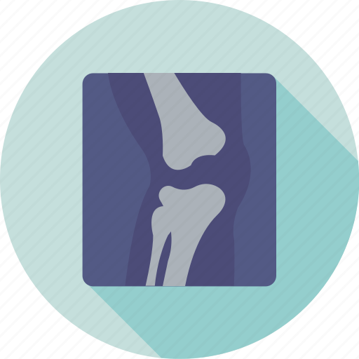 Bone joints, bones, knee, knee joint, skeleton icon - Download on Iconfinder