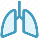 anatomy, breathe, lungs, medical, pulmonology, respiratory