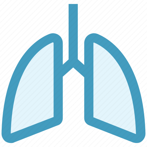Anatomy, breathe, lungs, medical, pulmonology, respiratory icon - Download on Iconfinder