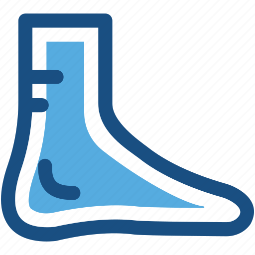 Body organ, body part, foot, human foot, organ icon - Download on Iconfinder