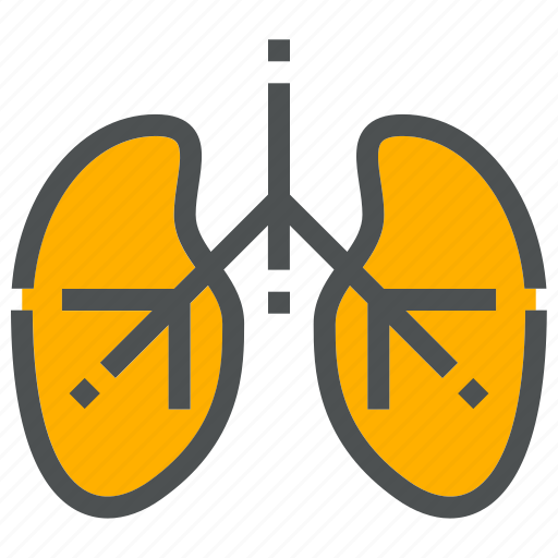 Anatomy, body, doctor, human, lung, medical, organ icon - Download on Iconfinder