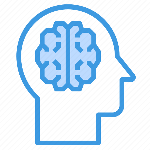 Brain, education, healthcare, human, medical icon - Download on Iconfinder