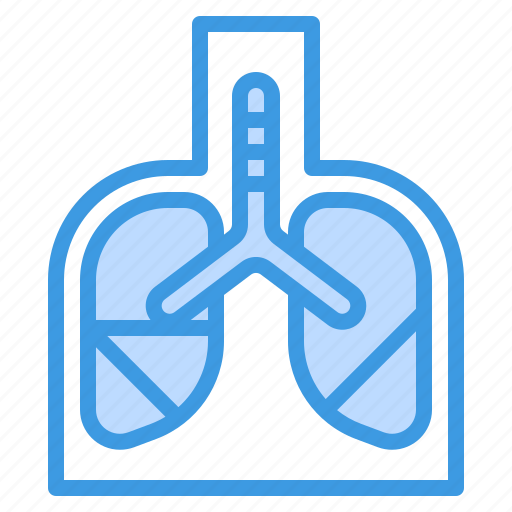 Anatomy, human, lungs, medical, organ icon - Download on Iconfinder