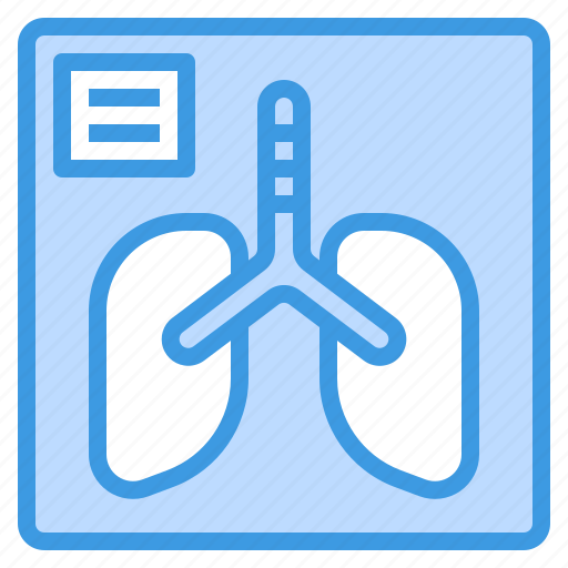 Anatomy, lungs, medical, organ, ray, x icon - Download on Iconfinder
