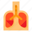 anatomy, human, lungs, medical, organ 