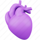 heart, medical, healthcare, human, cardiology, organ