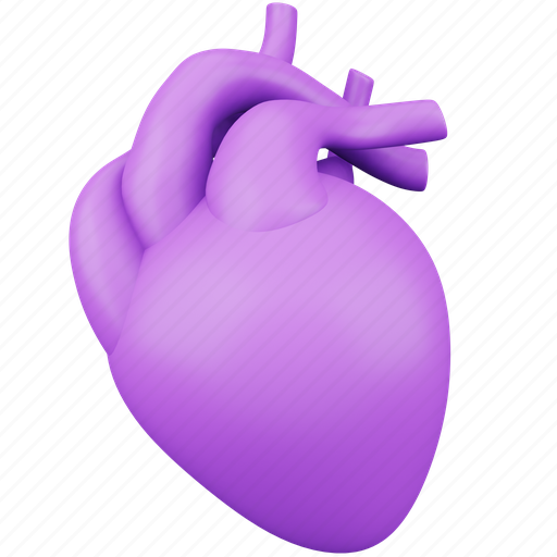 Heart, medical, healthcare, human, cardiology, organ icon - Download on Iconfinder