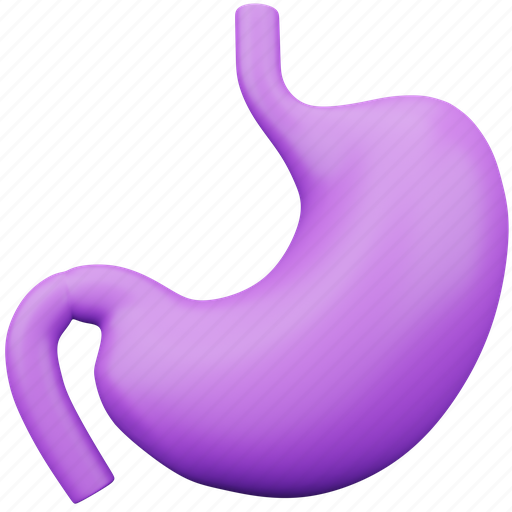 Stomach, medical, healthcare, organ, human, digestion 3D illustration - Download on Iconfinder