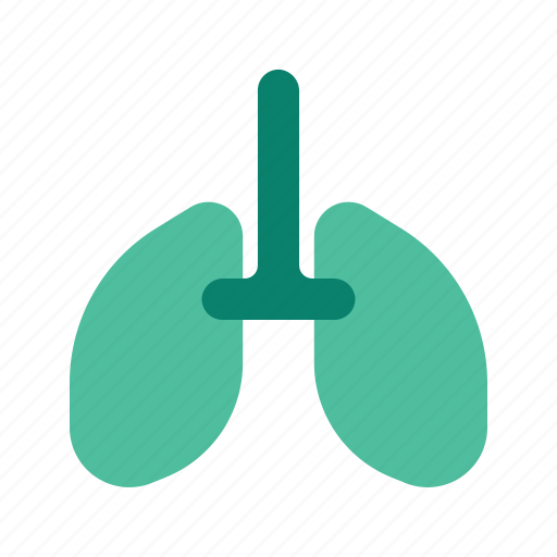 Health, healthcare, lungs, medical, medicine icon - Download on Iconfinder