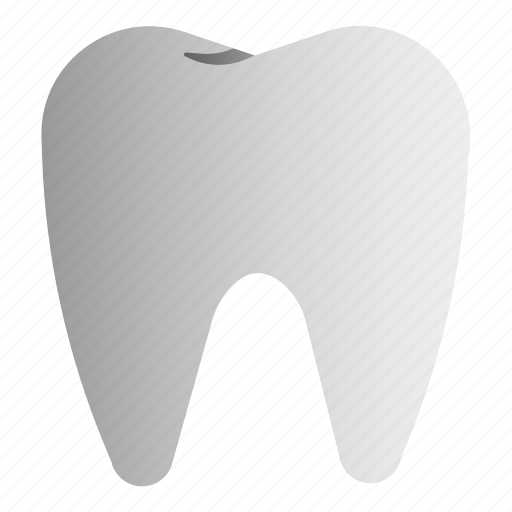 Dental care, medical, molar, tooth icon - Download on Iconfinder