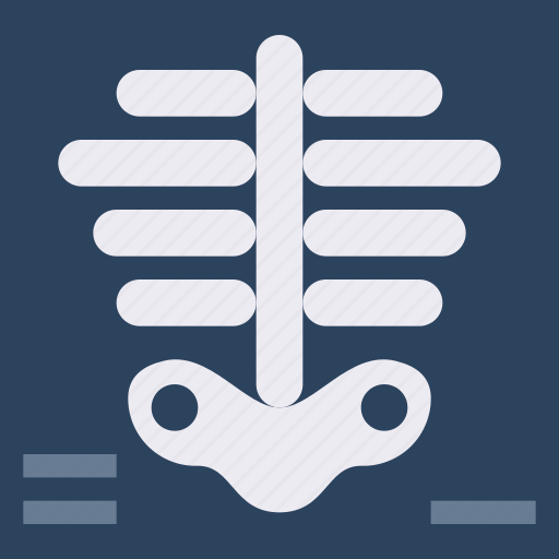 Healthcare, hospital, medical, scan, skeleton, xray icon - Download on Iconfinder