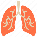 diagnosis, lungs, smoke, test, human, respiratory