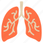diagnosis, lungs, smoke, test, human, respiratory 