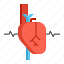 cardiology, heart, heartbeat, medical