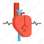 cardiology, heart, heartbeat, medical 
