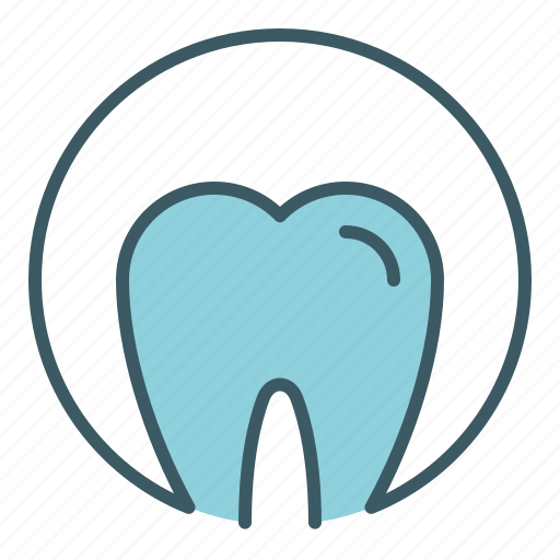 Circle, dental, dentist, health, molar, tooth icon - Download on Iconfinder