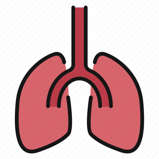 Heart, lungs, medical icon - Download on Iconfinder