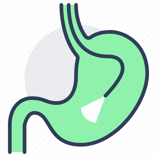 Gastroscopy, analysis, clinic, diagnostics, medical, stomach icon - Download on Iconfinder