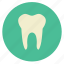 orthodontics, medical, tooth, dentist, orthodontic, dental 
