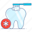 dental, care, brushing tooth, dental care, tooth care, oral hygiene 