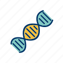 dna, helix, genetics
