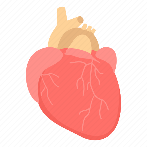 Heart, cardiology, cholesterol, disease, heart attack, heart disease, stroke icon - Download on Iconfinder