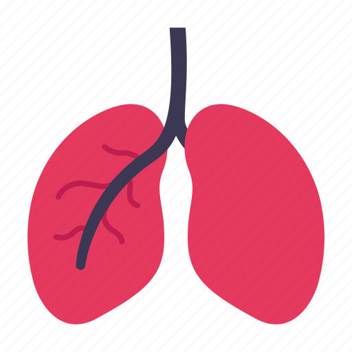 Anatomy, body, breath, healthcare, lungs, medical, organ icon - Download on Iconfinder