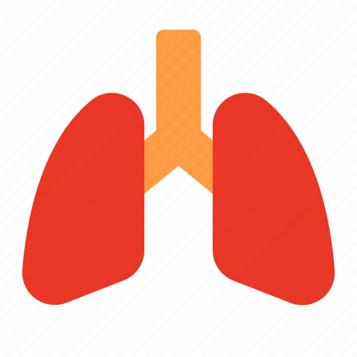 Health, human, lungs, medic, medical icon - Download on Iconfinder