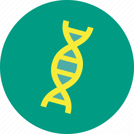 Medical, dna, genetic, helix, spiral, strand icon - Download on Iconfinder