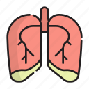 medical, lung, respiratory, pulmonary, anatomy, organ, biology, breath, chest