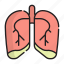 medical, lung, respiratory, pulmonary, anatomy, organ, biology, breath, chest 