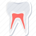 gum, gums, teeth, tooth, dentistry, hygiene, stomatology