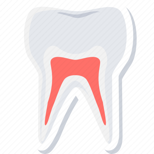 Gum, gums, teeth, tooth, dentistry, hygiene, stomatology icon - Download on Iconfinder