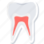 gum, gums, teeth, tooth, dentistry, hygiene, stomatology 